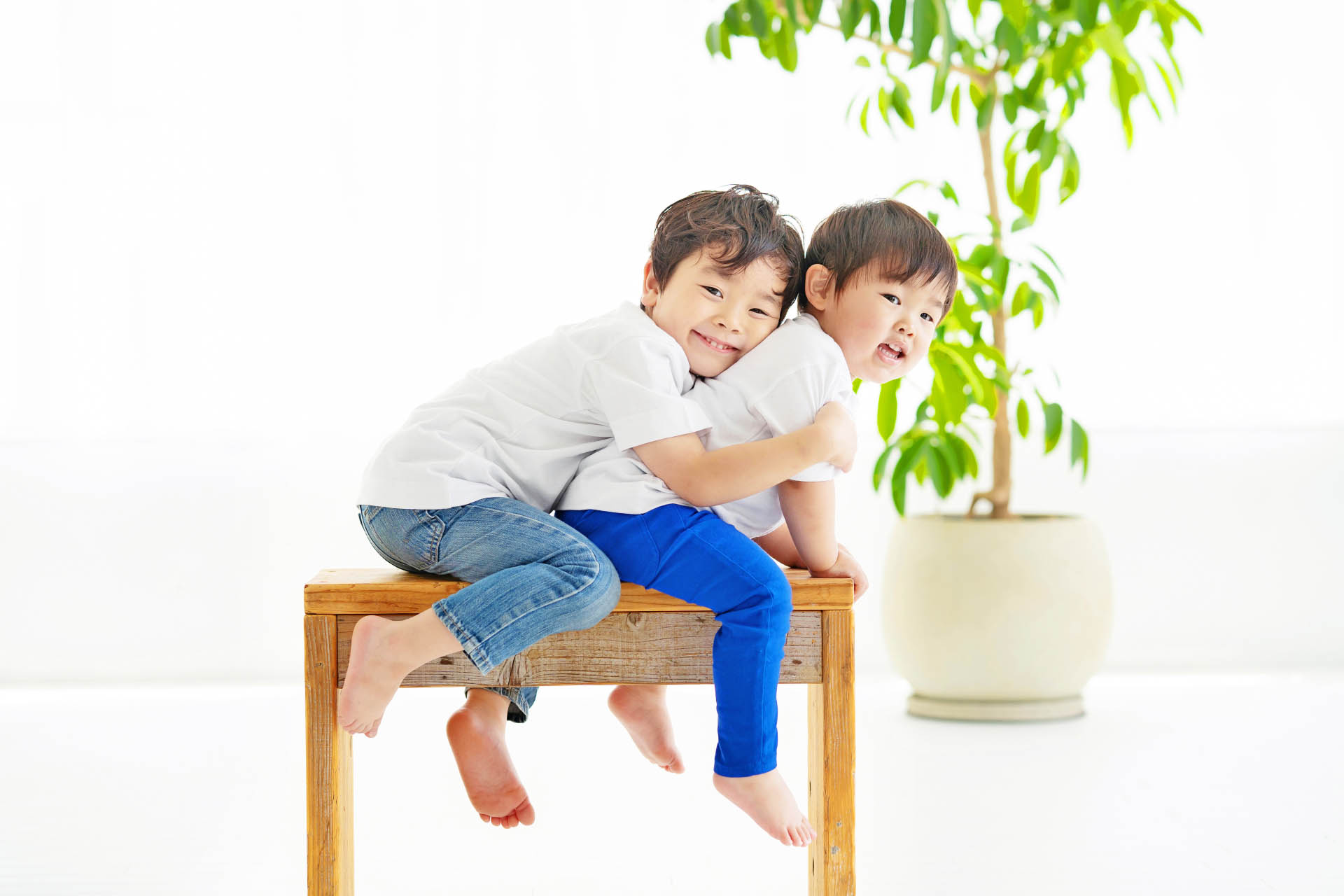 ことの葉が目指すもの画像